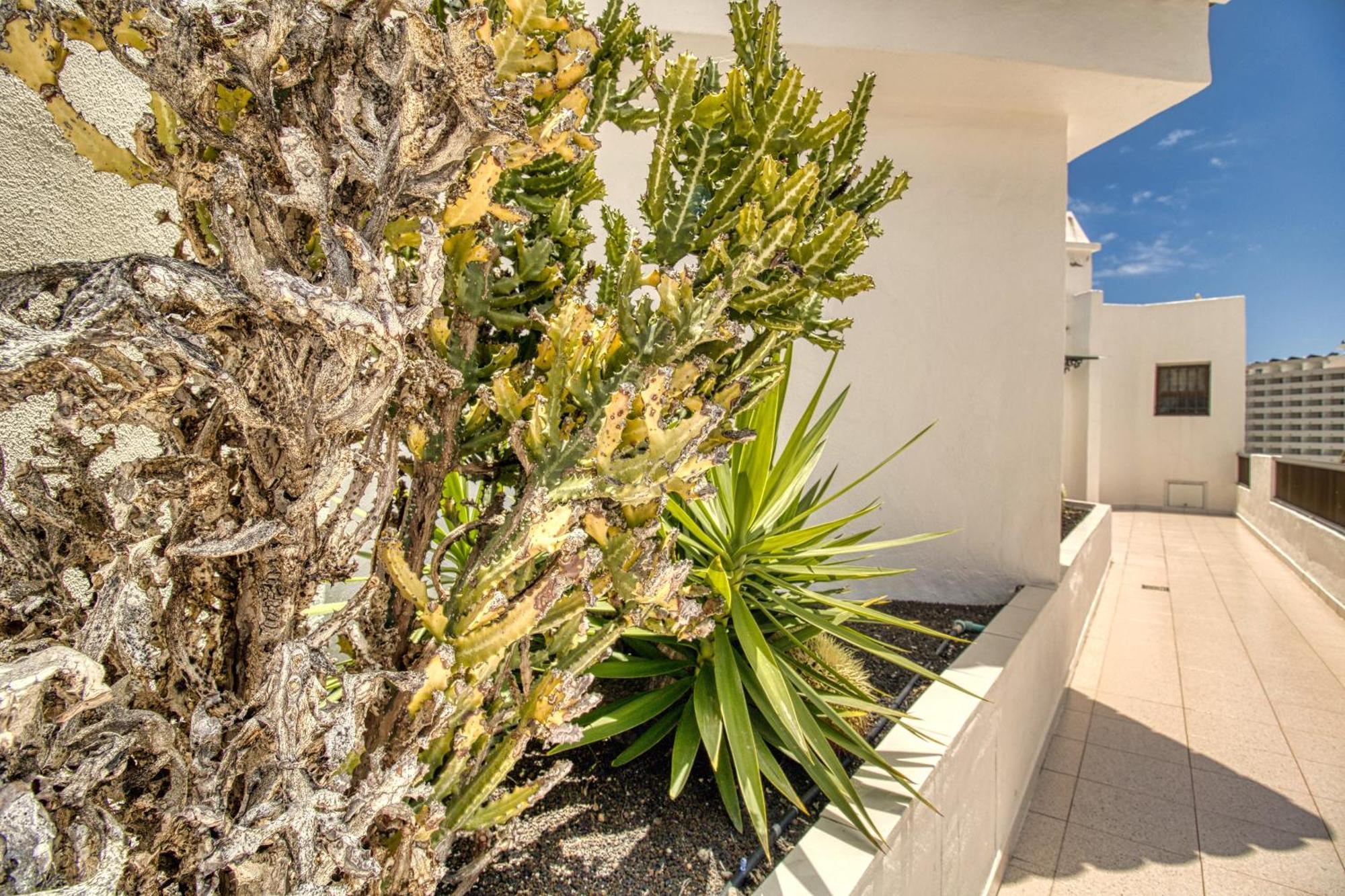 Playa FeñabePenthouse Sea View Jacuzzy Terrace & Pool公寓 外观 照片