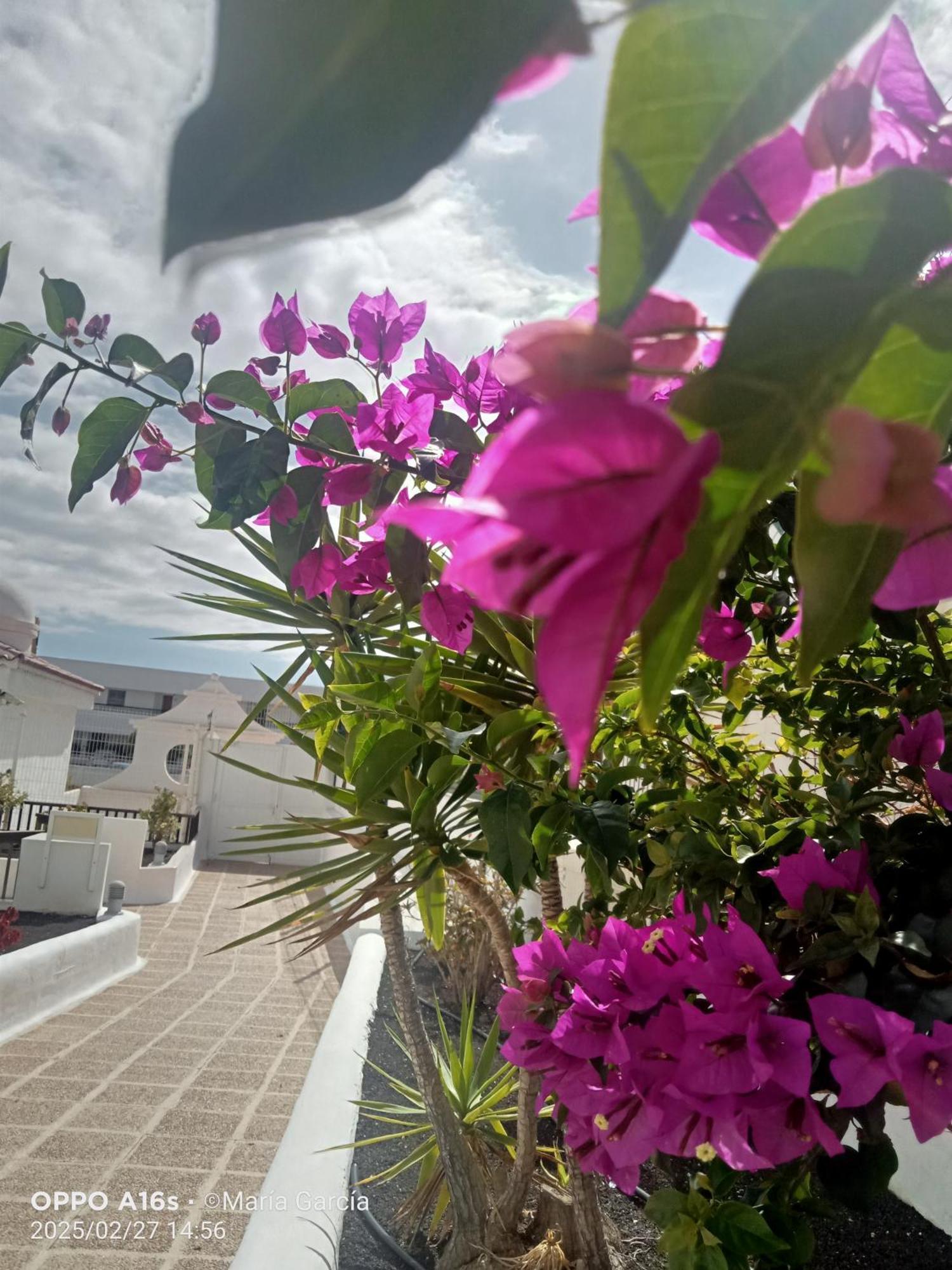 Playa FeñabePenthouse Sea View Jacuzzy Terrace & Pool公寓 外观 照片